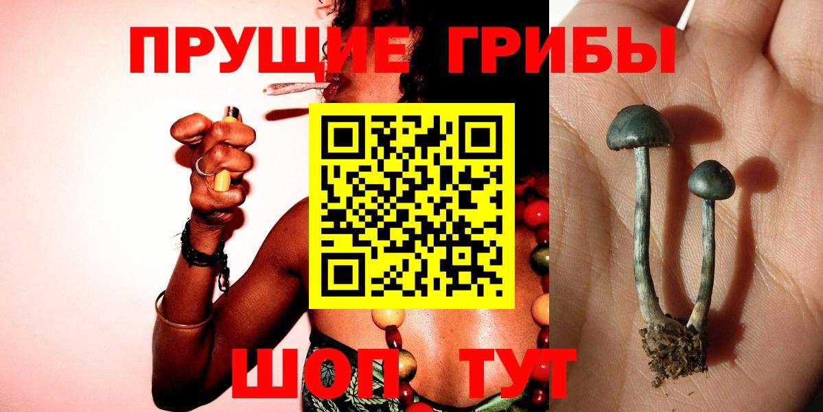 Псилоцибиновые грибы мицелий Асбест