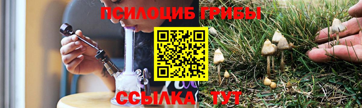 Асбест  Галлюциногенные грибы Psilocybe  Вход с VPN  Галлюциногенные грибы Psilocybe 